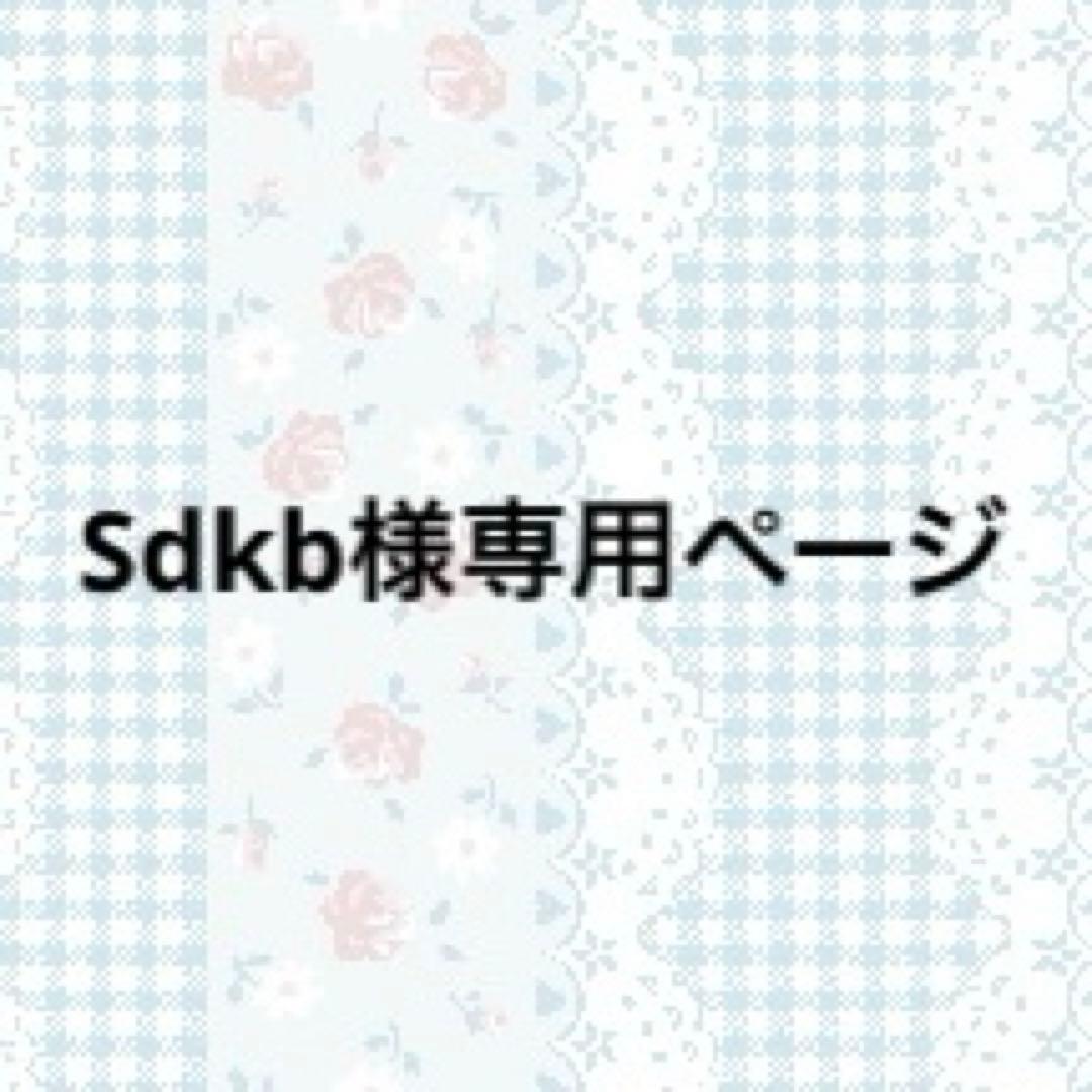 skdbページ