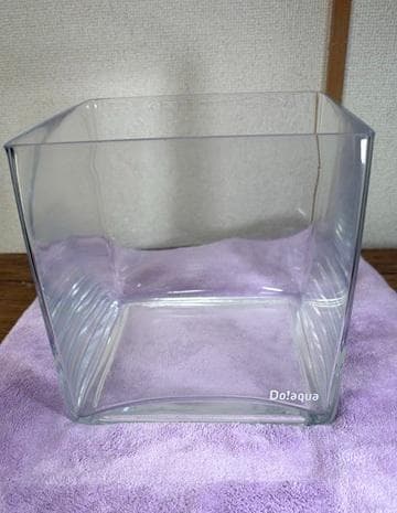 ADA Do!aqua プラントグラス キューブ 20