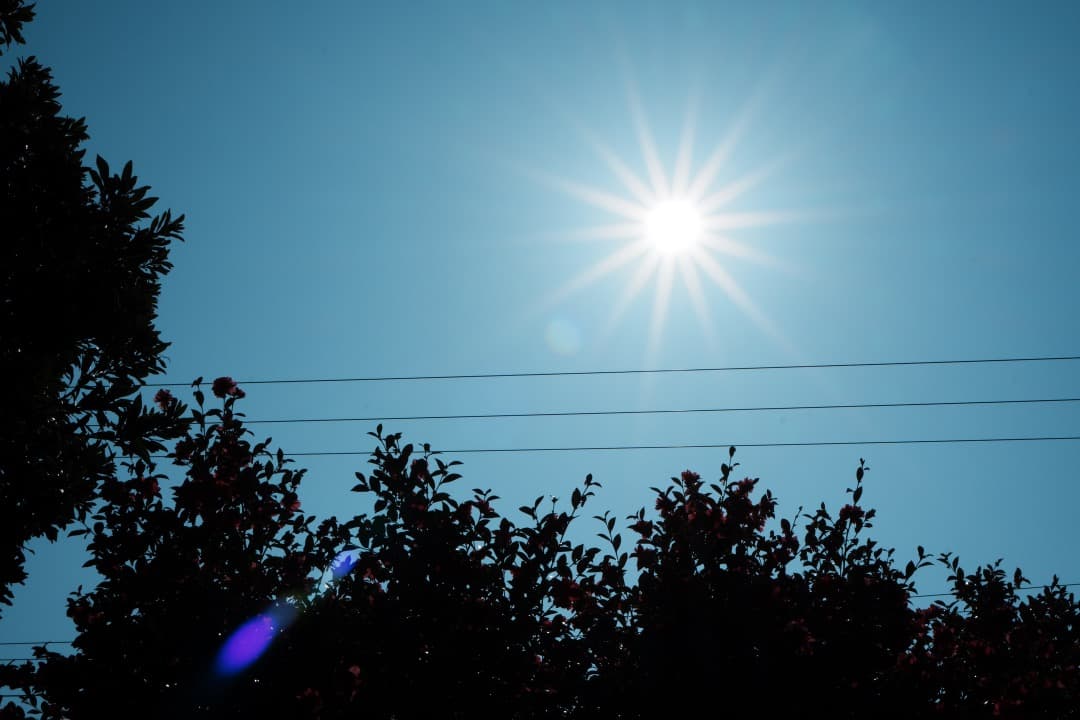 【ほぼ新品】ソニー E 35mm F1.8 OSS 単焦点レンズ メーカー保証