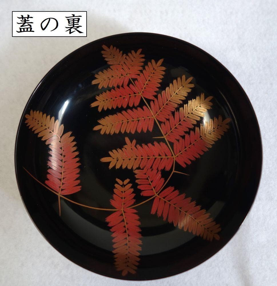 輪島塗 羊歯文様 大振り椀 ５客