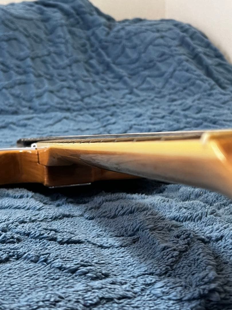 SX VTG シリーズ　テレキャスター