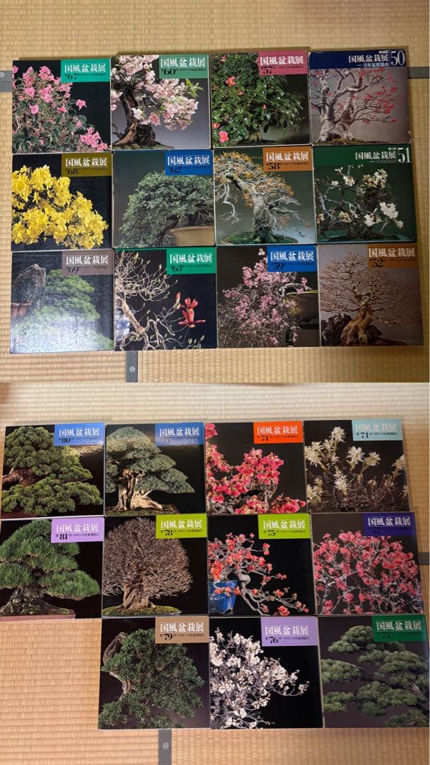 国風盆栽展　写真から16〜17巻選んでください