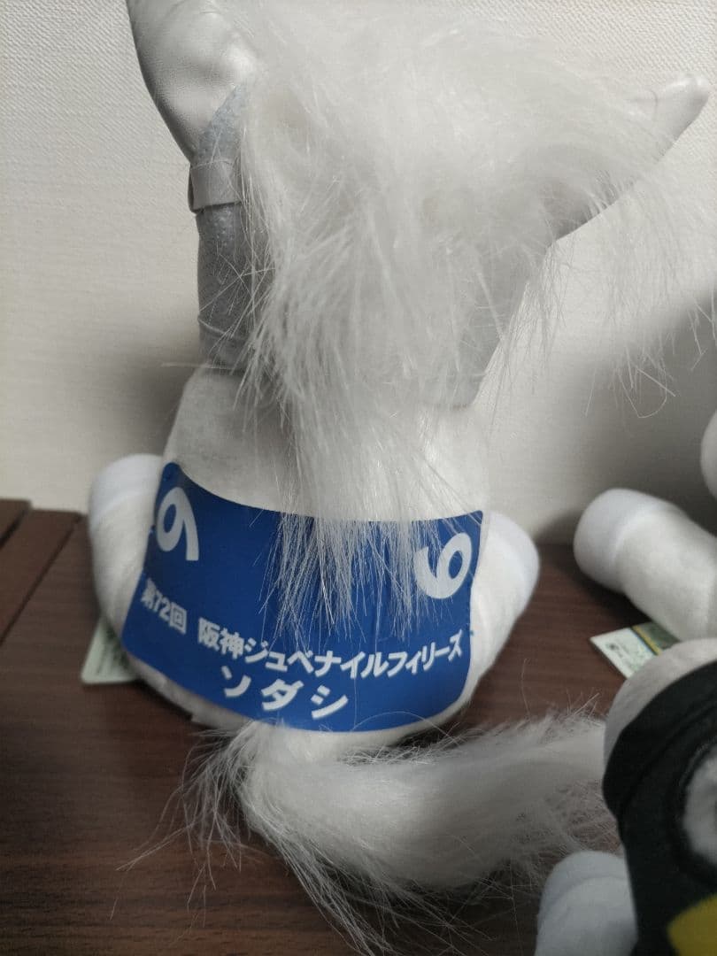 ソダシ引退セット　アイドルホース　競馬