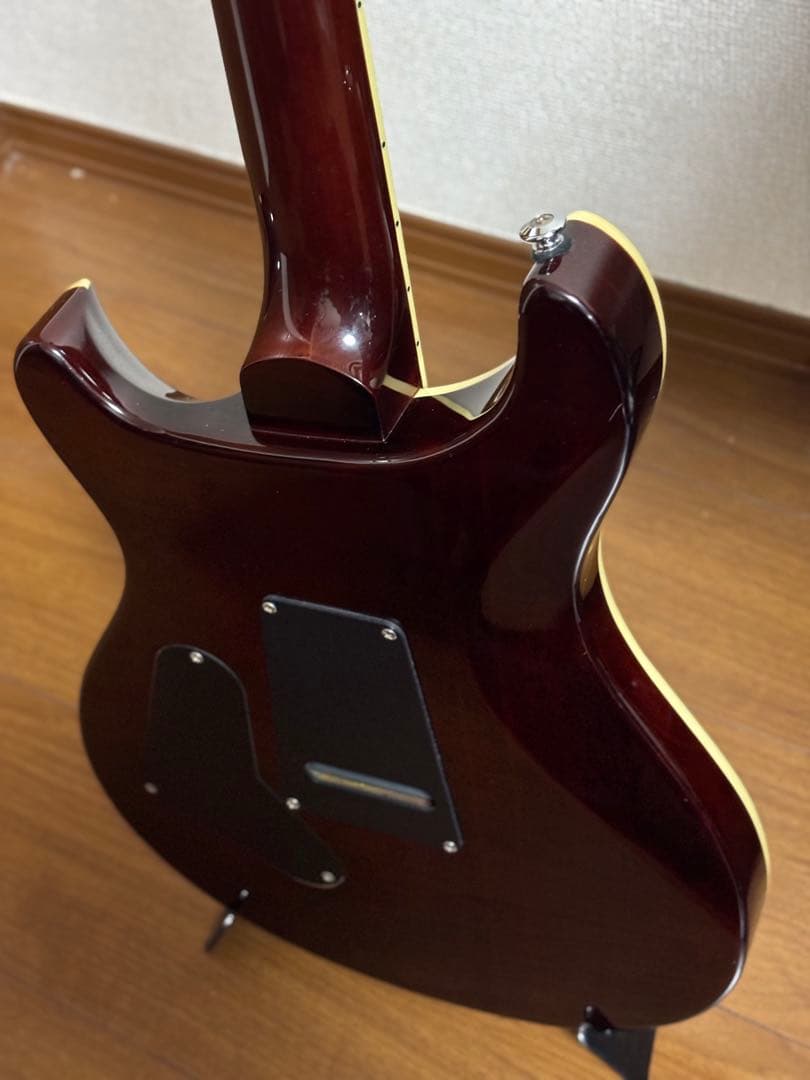 PRS SE Custom24 Ziricote Top 限定モデル