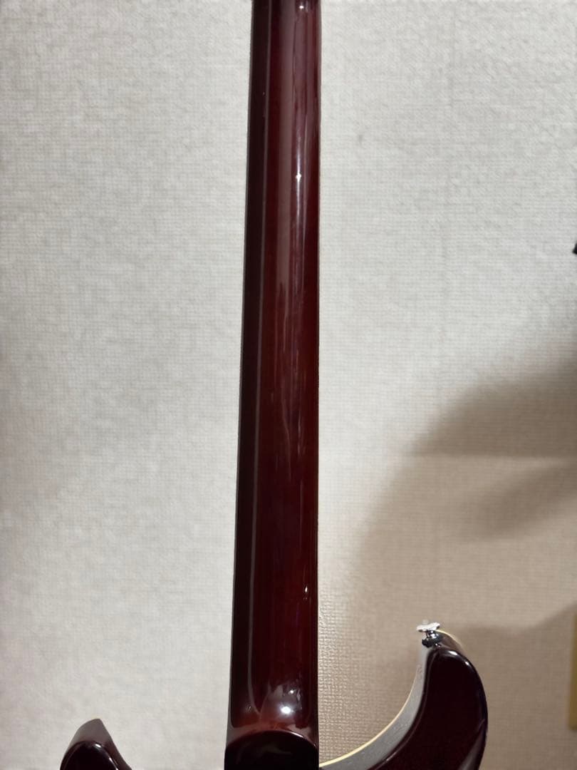 PRS SE Custom24 Ziricote Top 限定モデル