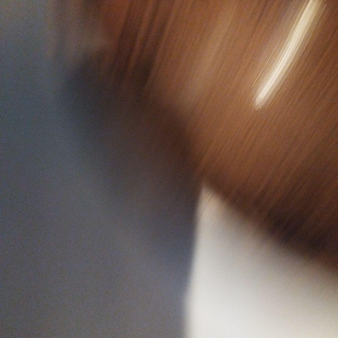 天目茶椀　保管管理品