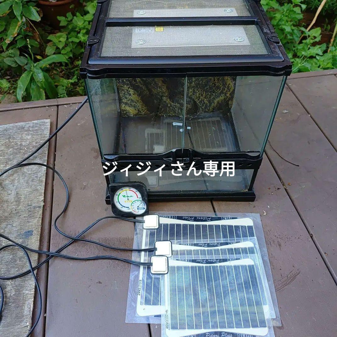中型ガラス飼育ケージ + 加熱パネル