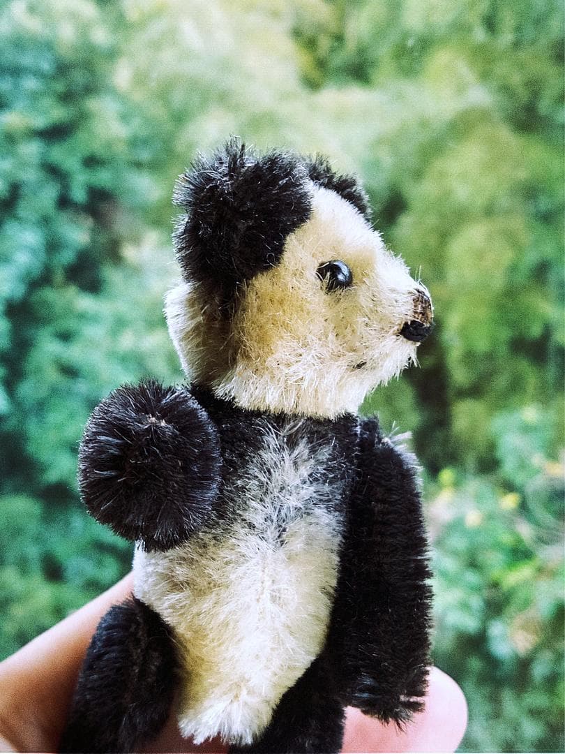 きっとあの子のお友達　ドイツのこぐま　シュコー　パンダ　 アンティーク　９ｃｍ