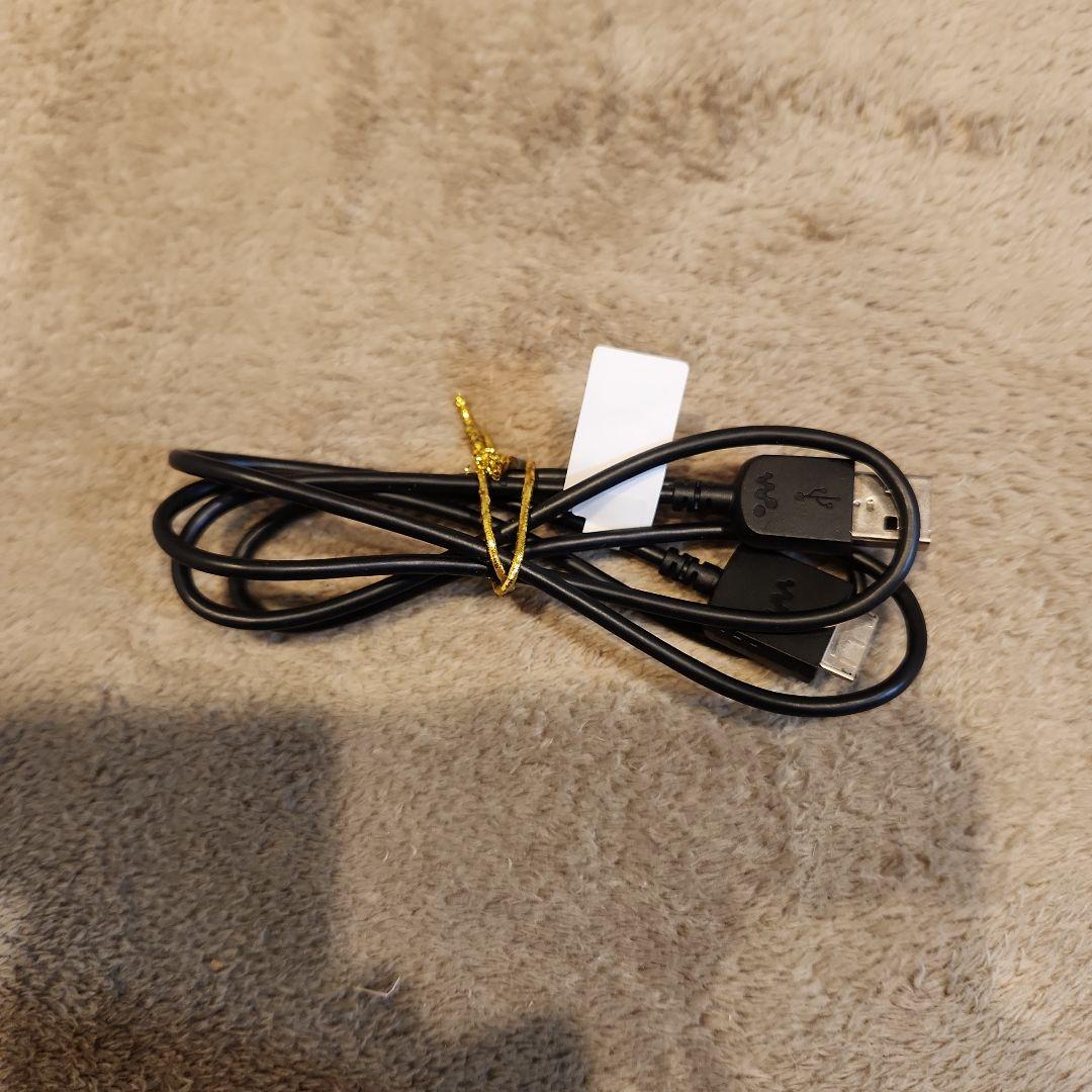 SONY NW-A55 デジタルミュージックプレーヤー