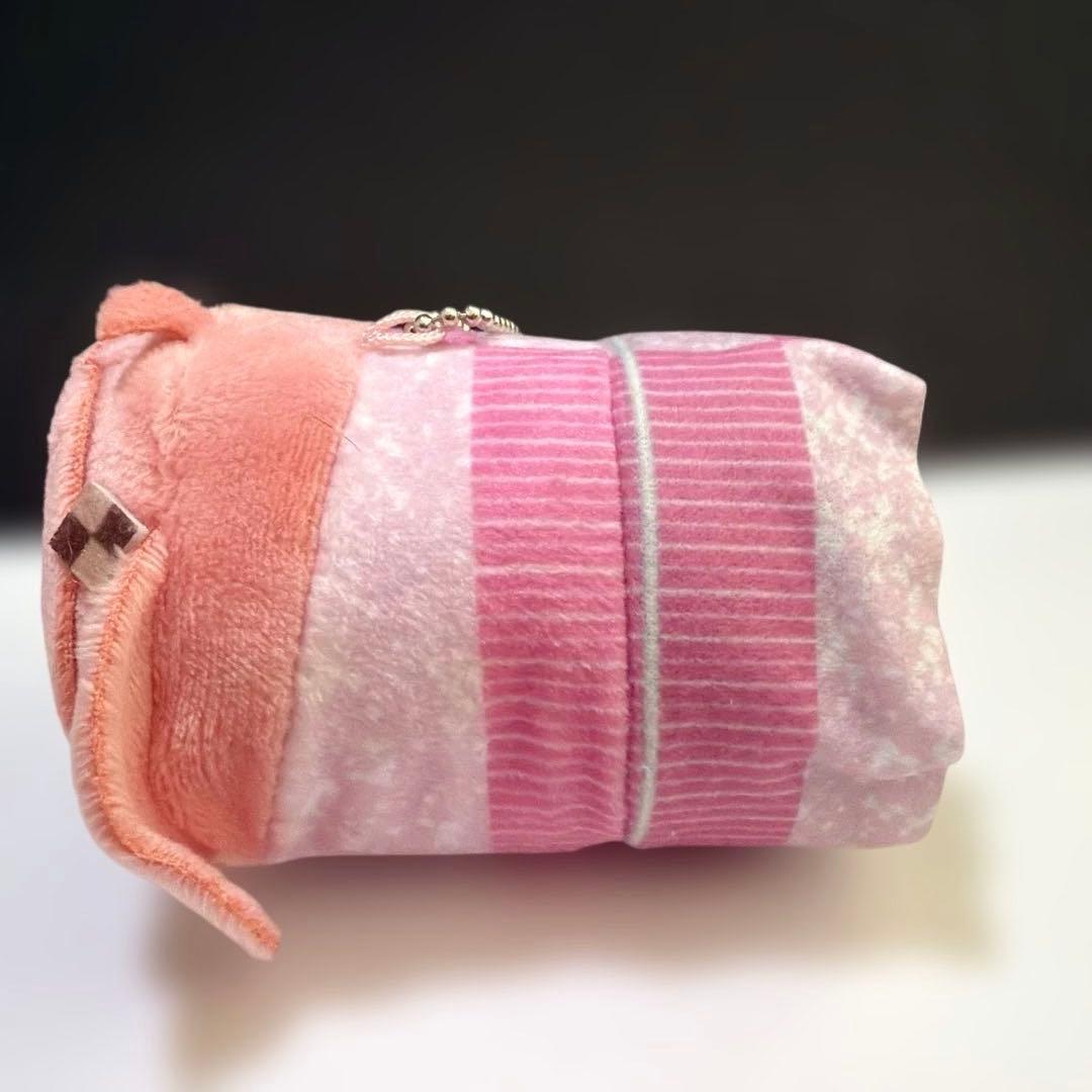 setoカラフルピーチ　のあ　アニメイト もちころりん