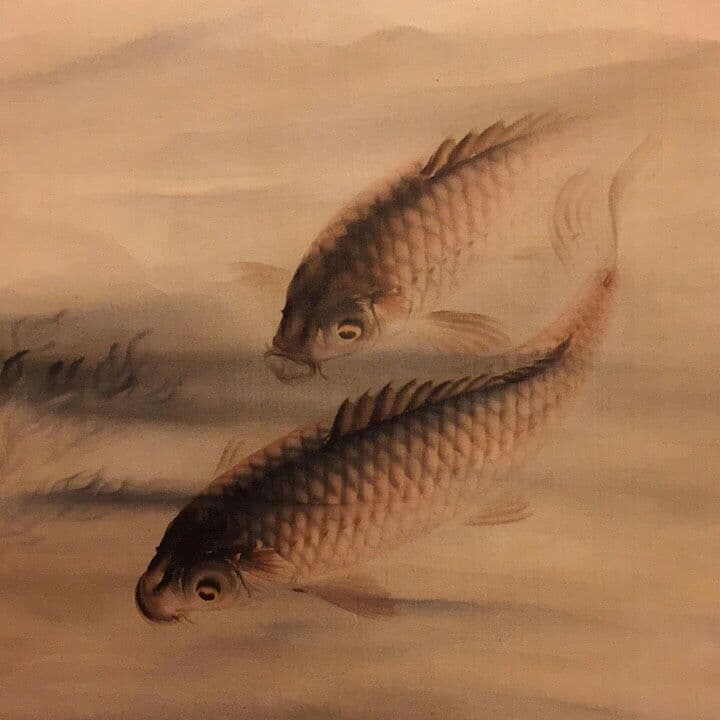 【真作】名品 (鯉の光達) 森田光達 (雙鯉・合箱)