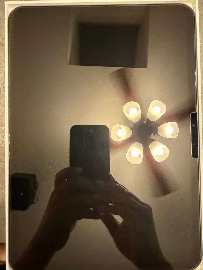 専用　iPad Pro スペースグレー 本体M4 wifi 256G 11インチ