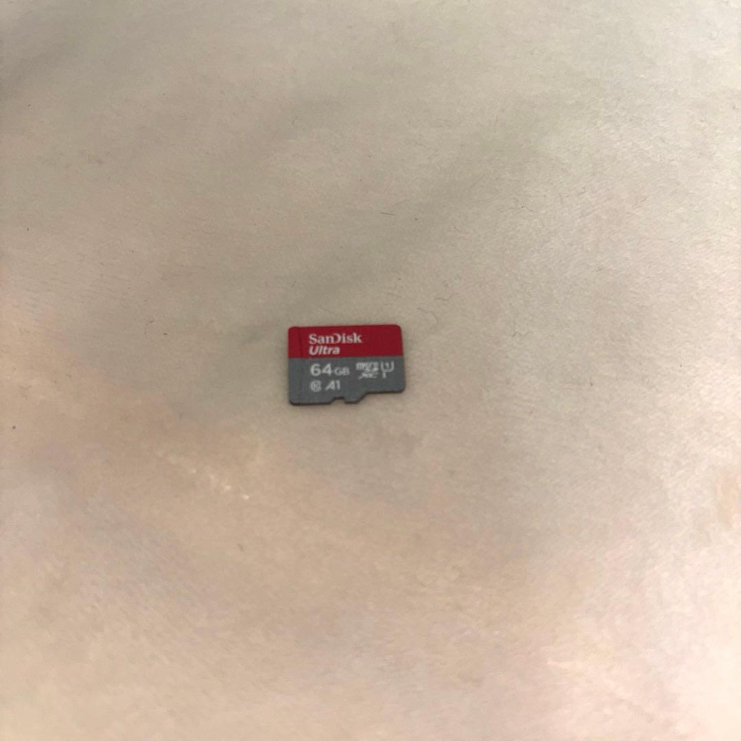 Nintendo Switch どうぶつの森セット プロコン・桃鉄付き