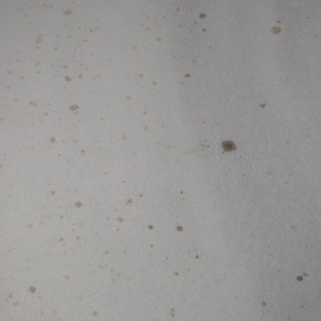 FINAL FANTASY VIII レンチキュラー B2ポスター