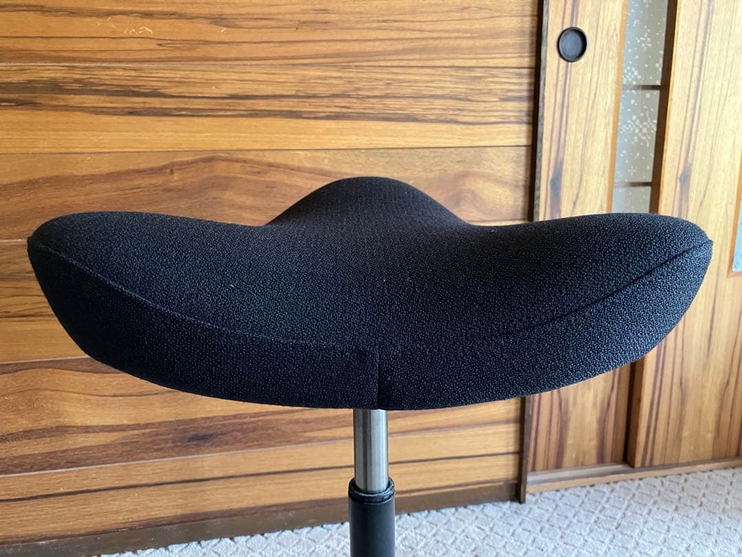 バリエール(varier) ポーランド製