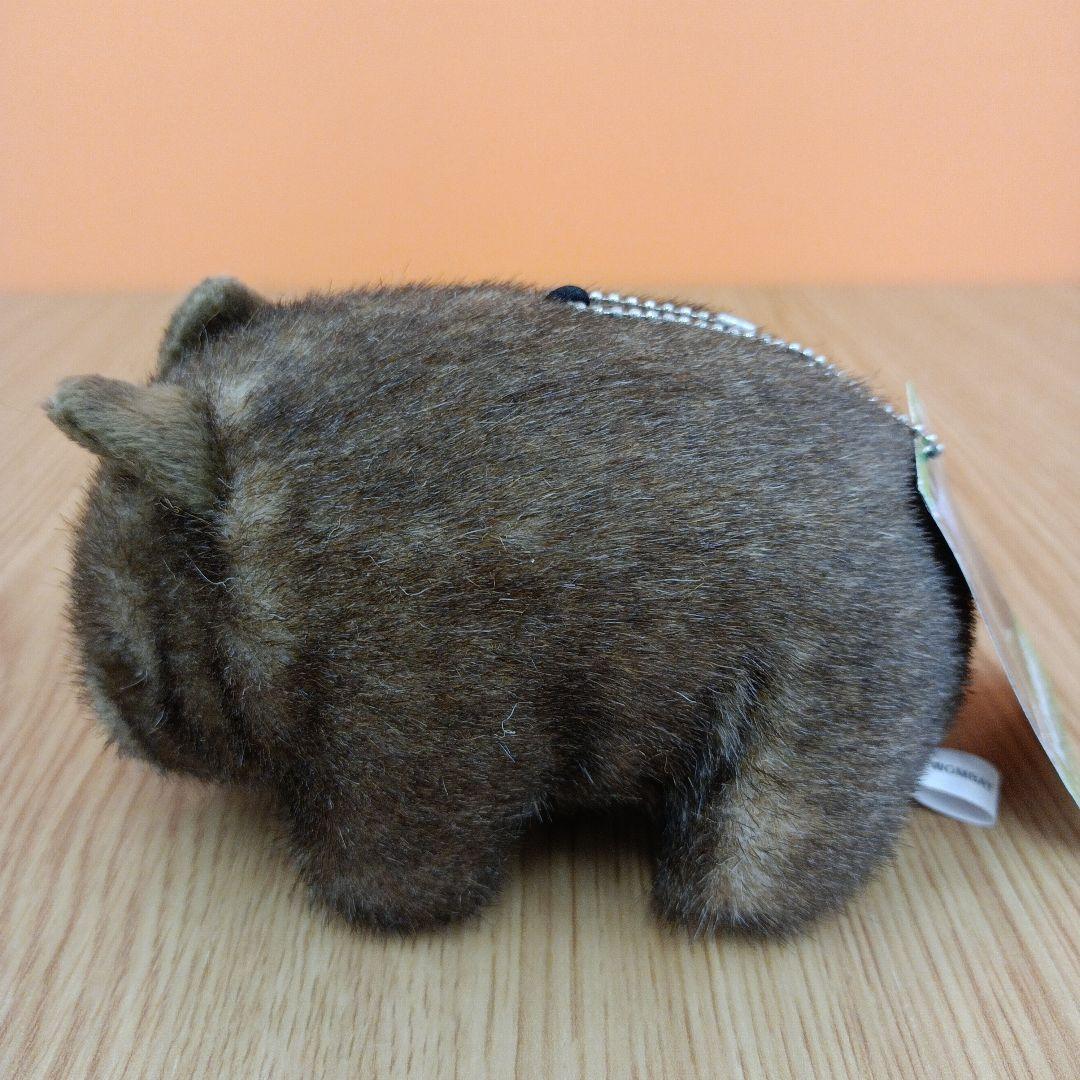 茶臼山動物園 コモンウォンバット ウォレス モモコ ぬいぐるみ マスコット 2点