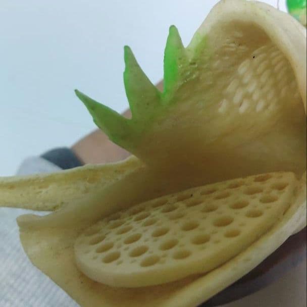 竹と白菜とバッタの彫刻　牛骨製　飛蝗　置物　中国美術　ミ10