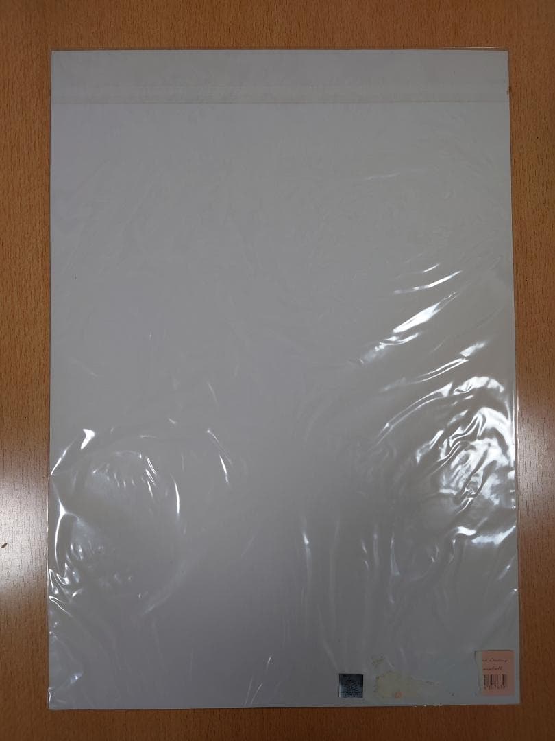 機動戦士ガンダムSEED DESTINY ミニポスター 5枚セット