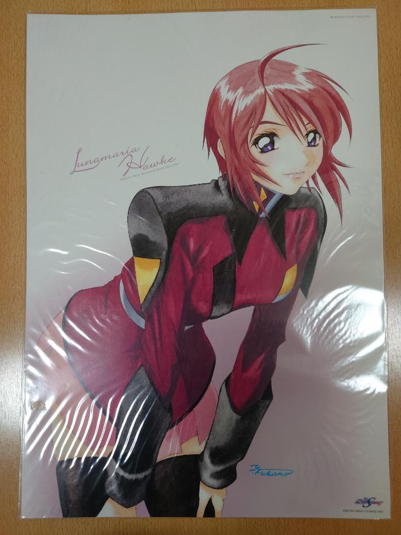 機動戦士ガンダムSEED DESTINY ミニポスター 5枚セット