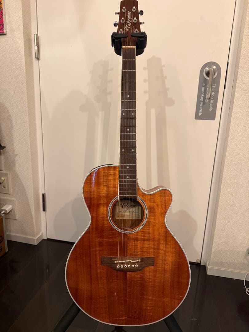 Takamine アコースティックギター PTU131KC N
