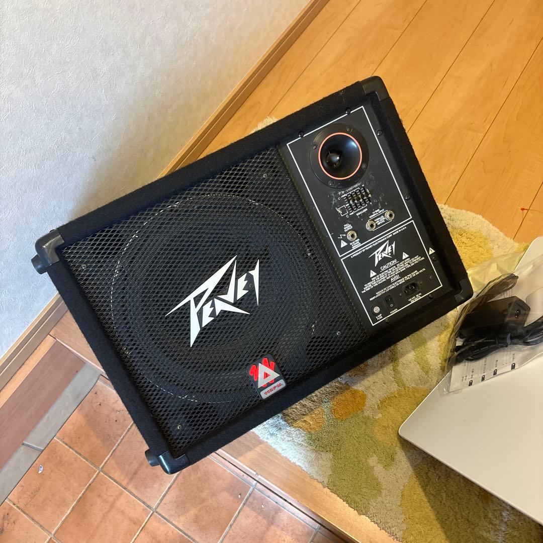 値下げ！Peavey 112PM パワードフロアモニター