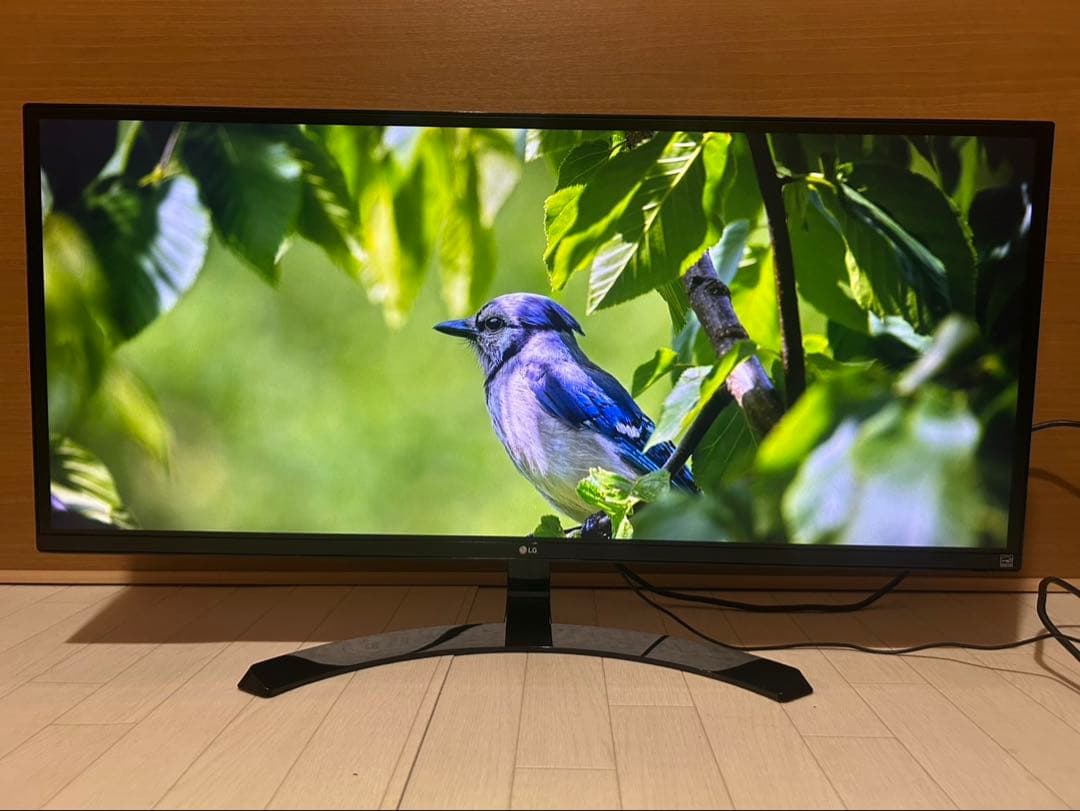 LG 34UM59-P 34インチ モニター 本体