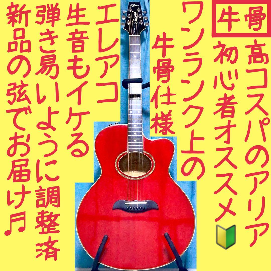 【牛骨★エレアコ】ARIA！ELECODE！エレコード【弾き易く調整☆新品の弦】