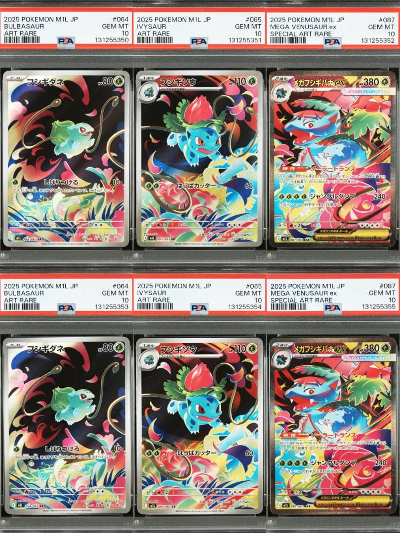 【PSA10】メガフシギバナ　進化ライン　連番