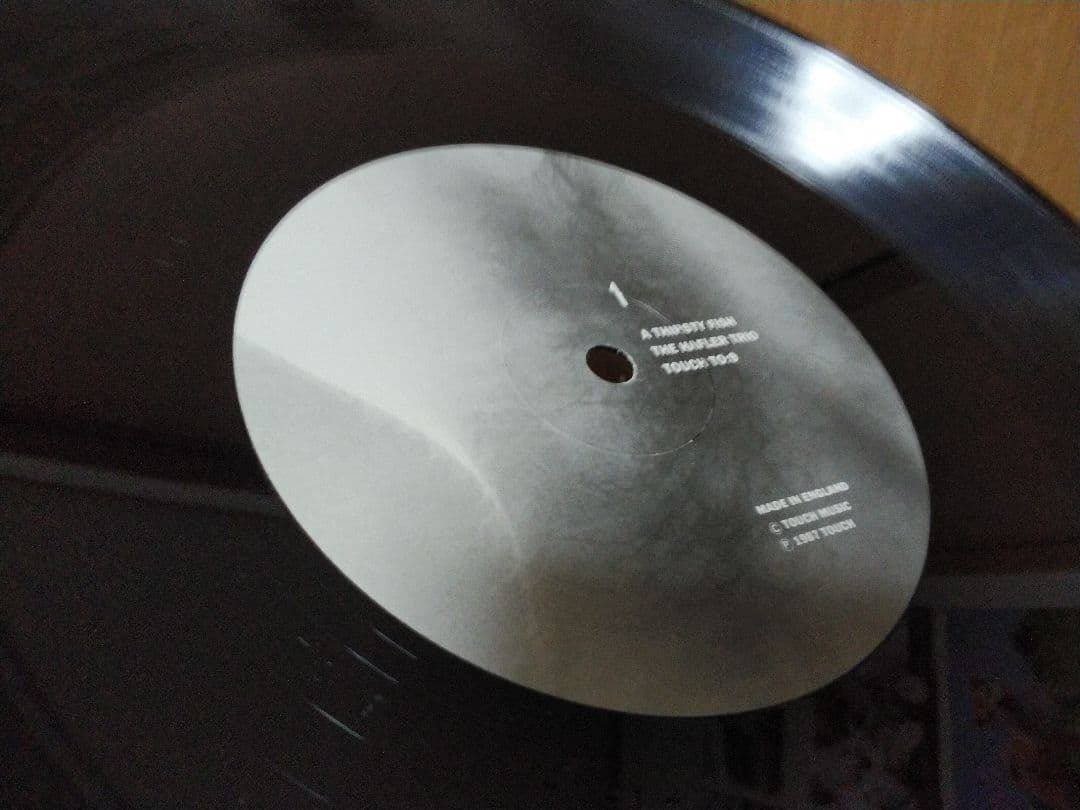 THE HAFLER TRIO．A THIRSTY FISH．レコード！