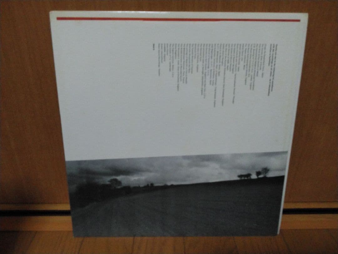 THE HAFLER TRIO．A THIRSTY FISH．レコード！