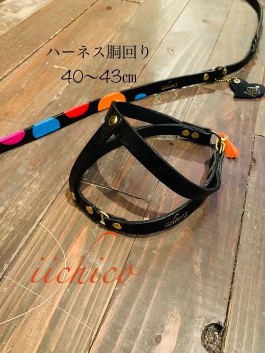 犬用リード＆ハーネス2点セット　Black革orange系マルチドット