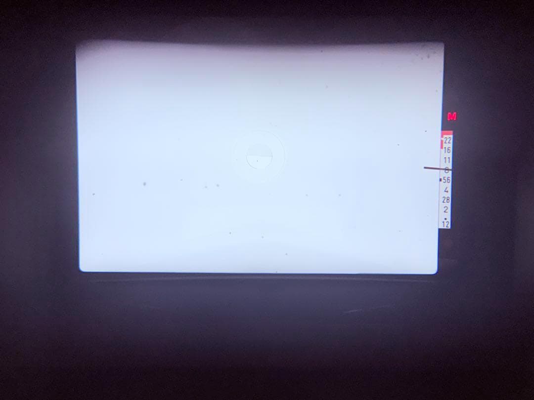 Canon AE-1 & New FD 50mm F1.4 各動作良好