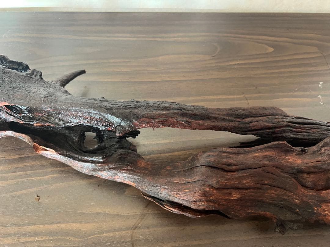 HX-026 流木　ホーンウッド　マシンガンウッド　アクアリウム　ブランチウッド