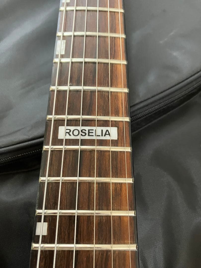 ESP BanG Dream! M-Ⅱ SAYO 氷川紗夜　バンドリ　ケース付き