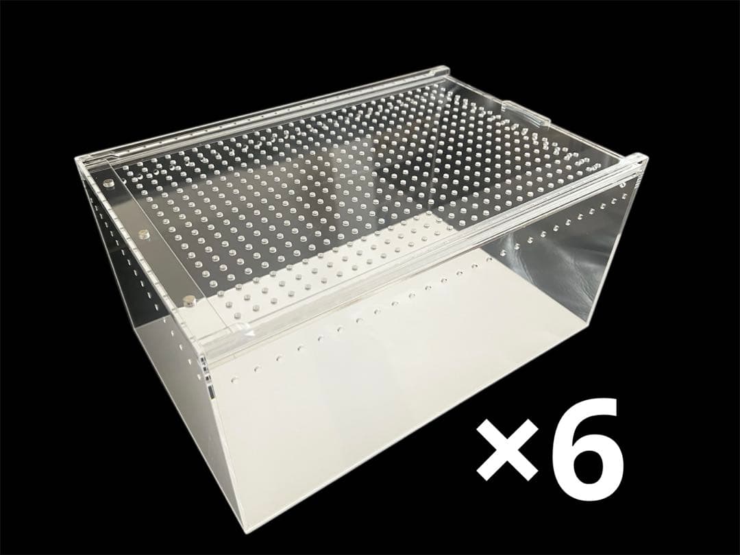 6個セット　爬虫類飼育　クリアアクリルケージ 30×20×15