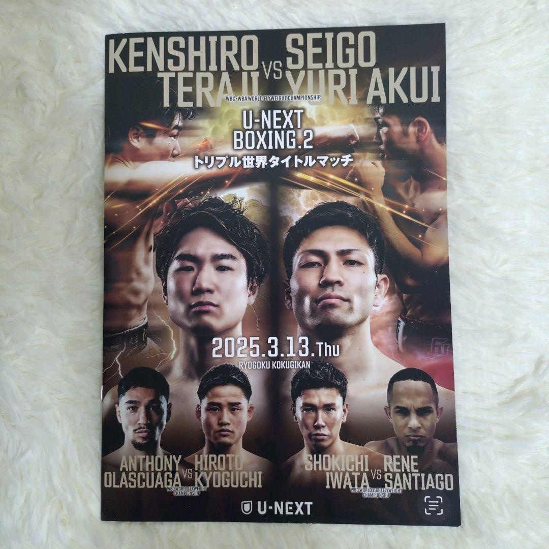 寺地拳四朗★RSC ボクシング 会場限定 半袖Tシャツ 黒 XL パンフレット付