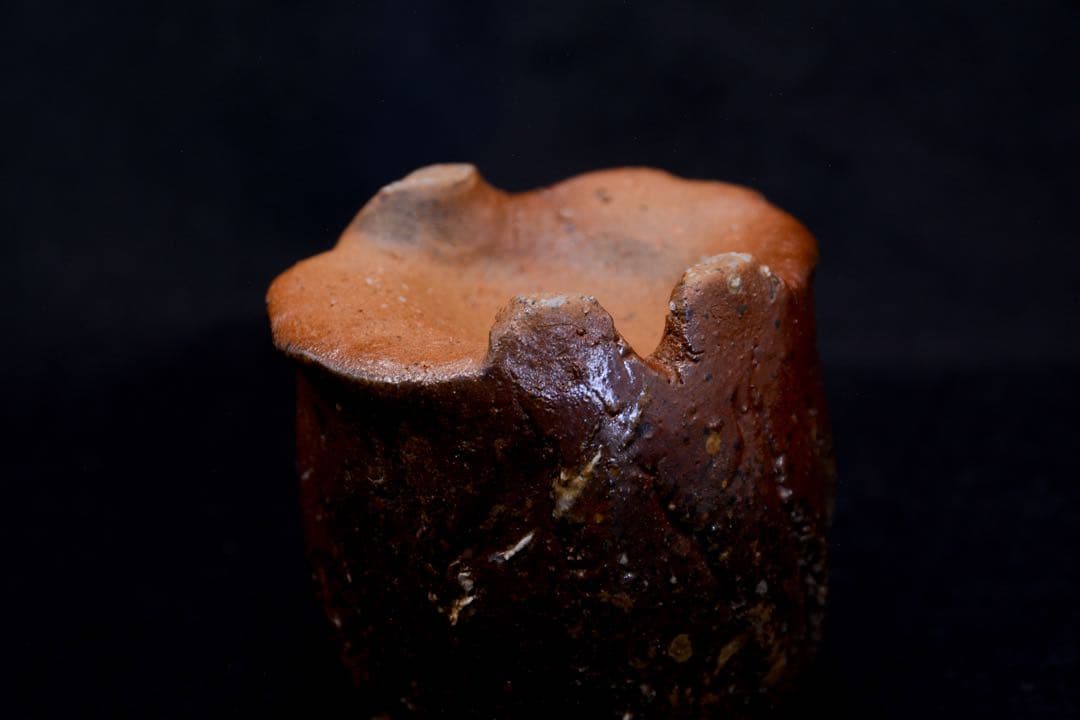 【隠崎隆一】 備前 酒呑