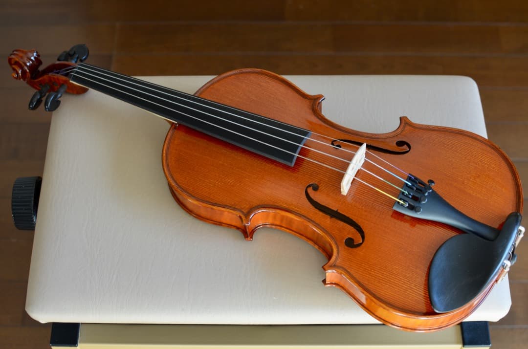 【ほぼ新品】Gliga VASILE gama2 バイオリン 4/4 セット