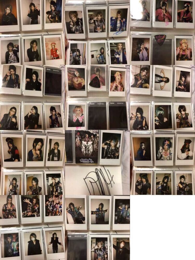 己龍　マイドラゴン　チェキ