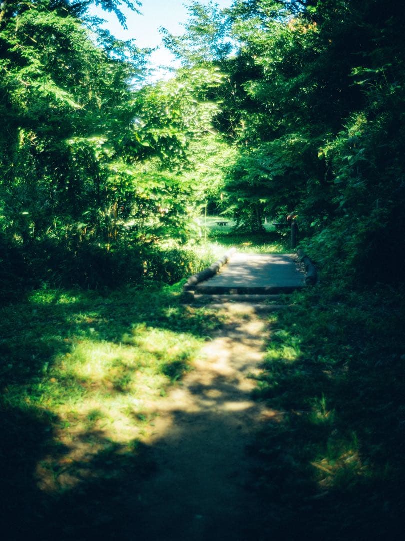 レンズ(単焦点) Leica SUMMILUX 35mm f1.4 2nd