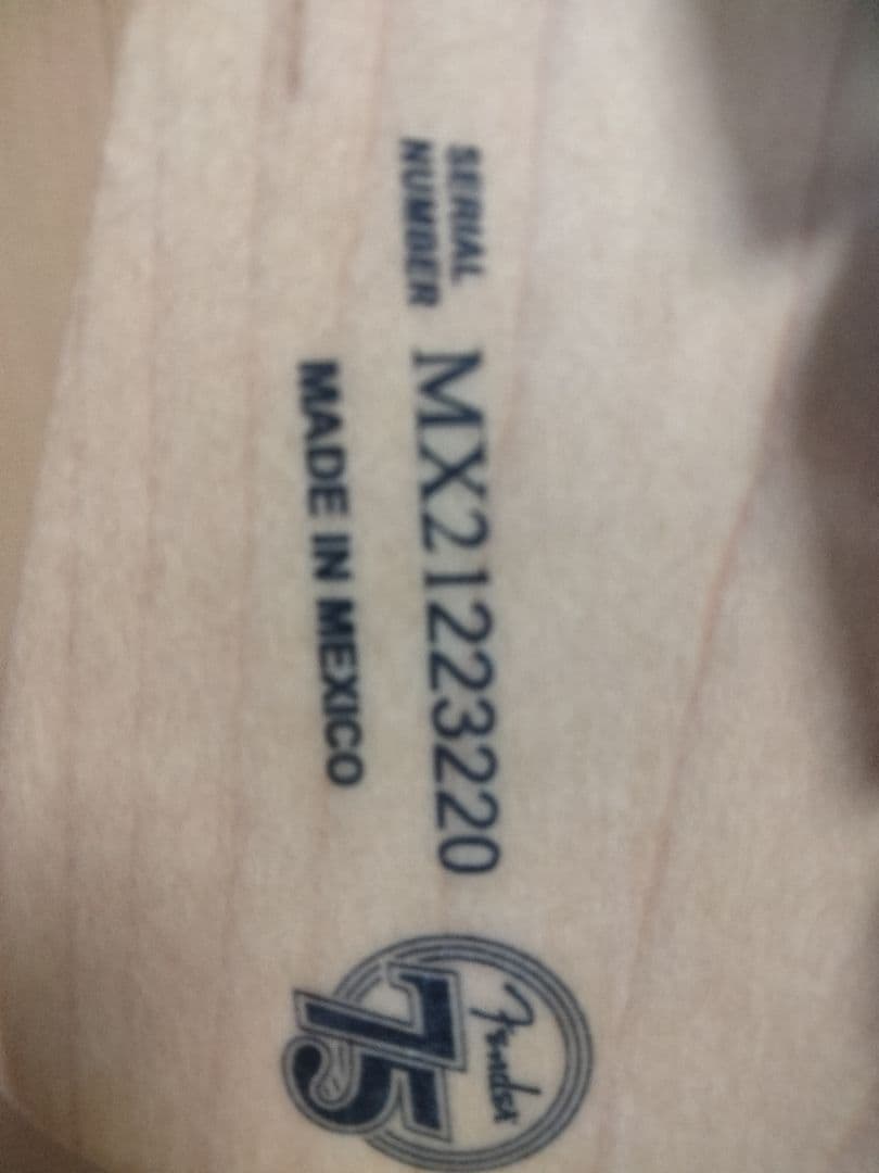 ギター player stratocaster with Floyd Rose