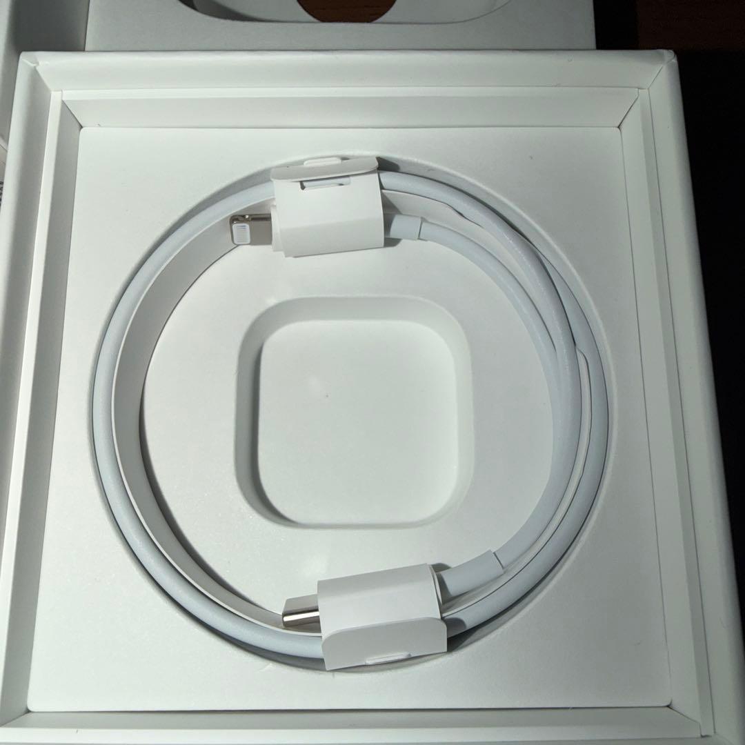 Apple AirPods Pro 第1世代