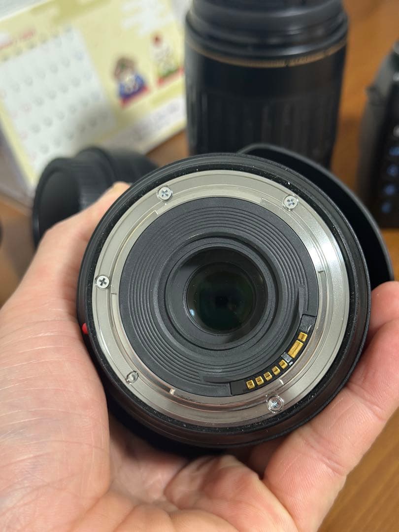 Canon EOS 5D Mark IV デジタル一EF 24-70 f4