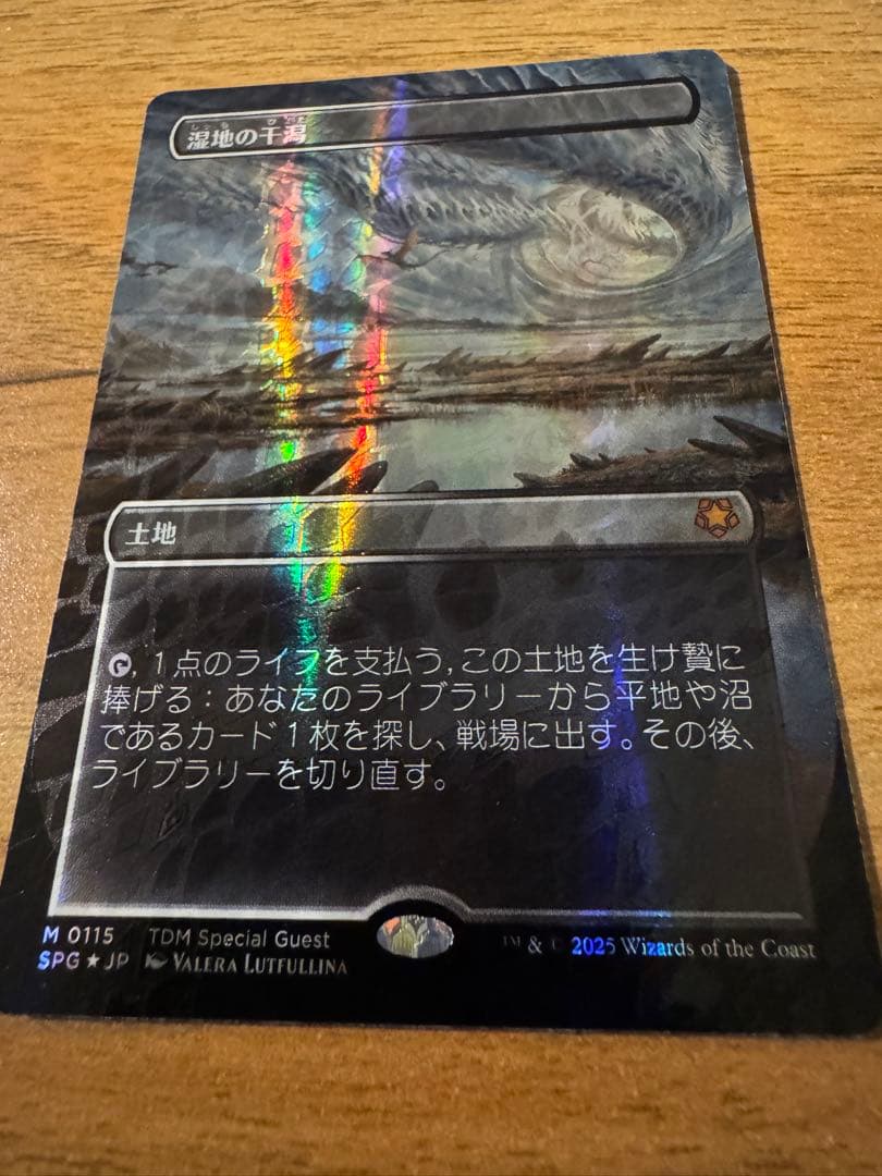 【ドラゴンスケイルfoil】 湿地の干潟　1枚 日本語