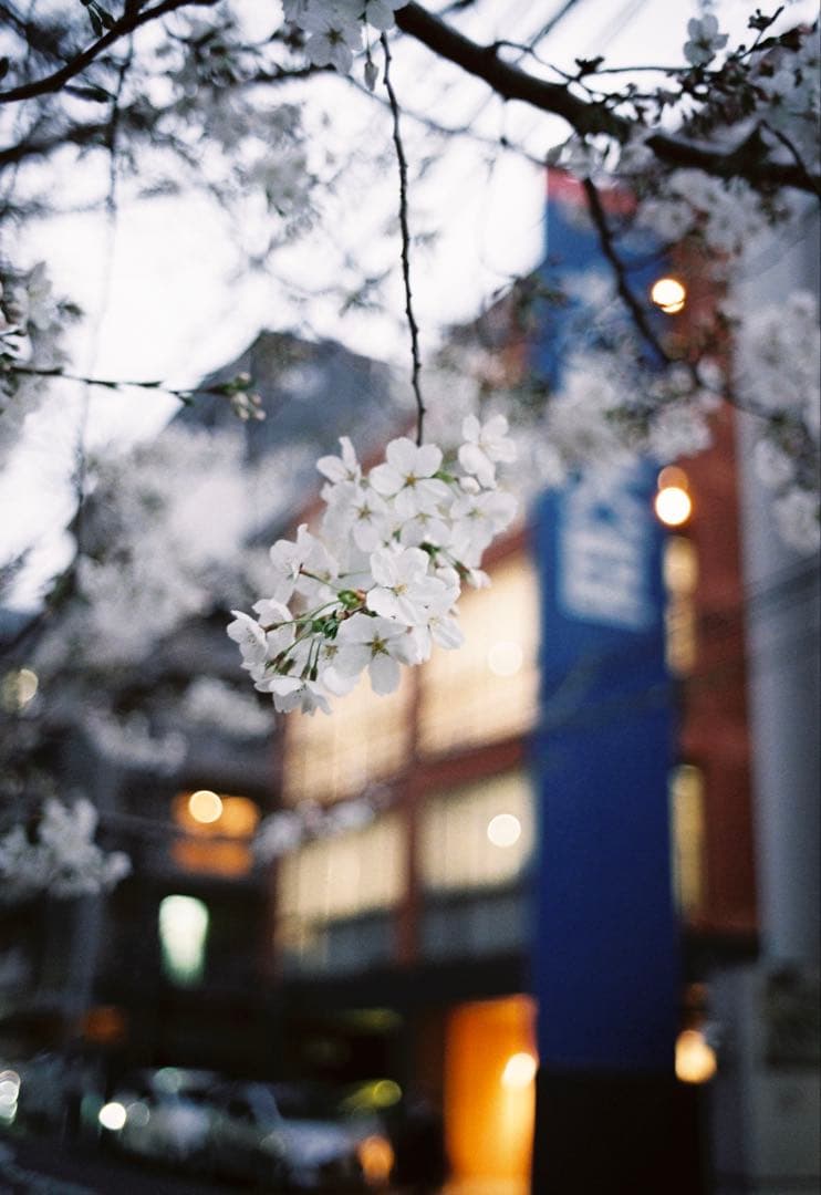 Light Lens Lab/35mm F2.0/Leica/周八枚