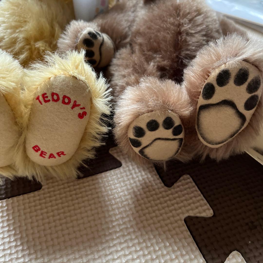 シュタイフ ルーズベルト大統領＆ベア　テディベア　色紙セット