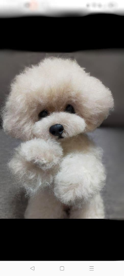 専用オーダーページ♡2体お好きな子選べる