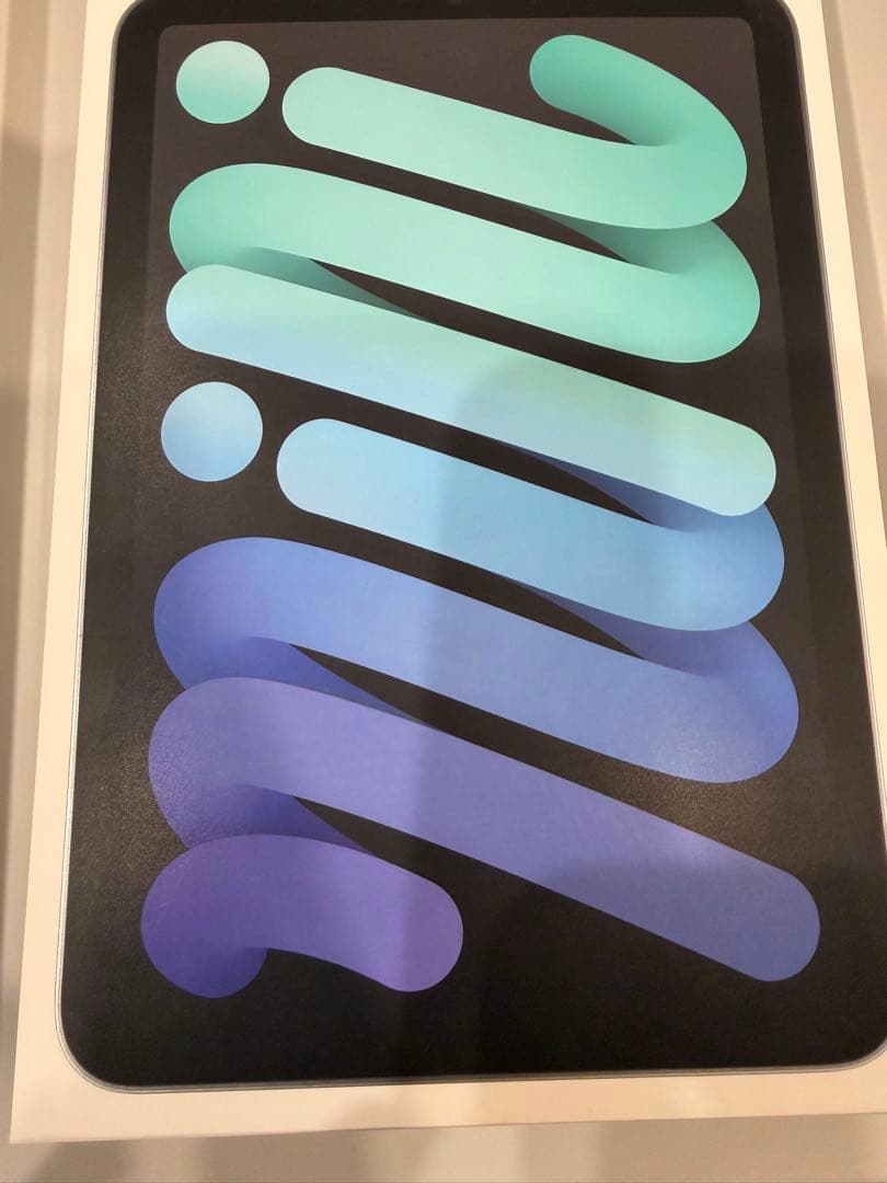 iPad mini 7 (A17Pro) 128GB スペースグレー