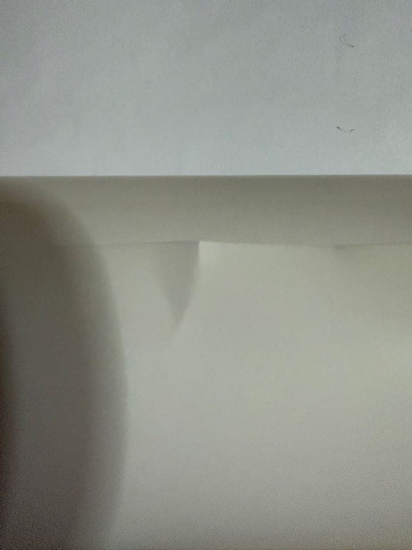 天羽希純ポスター【本人直筆サイン入り】【イベント限定特典】【非売品】在庫1点限り