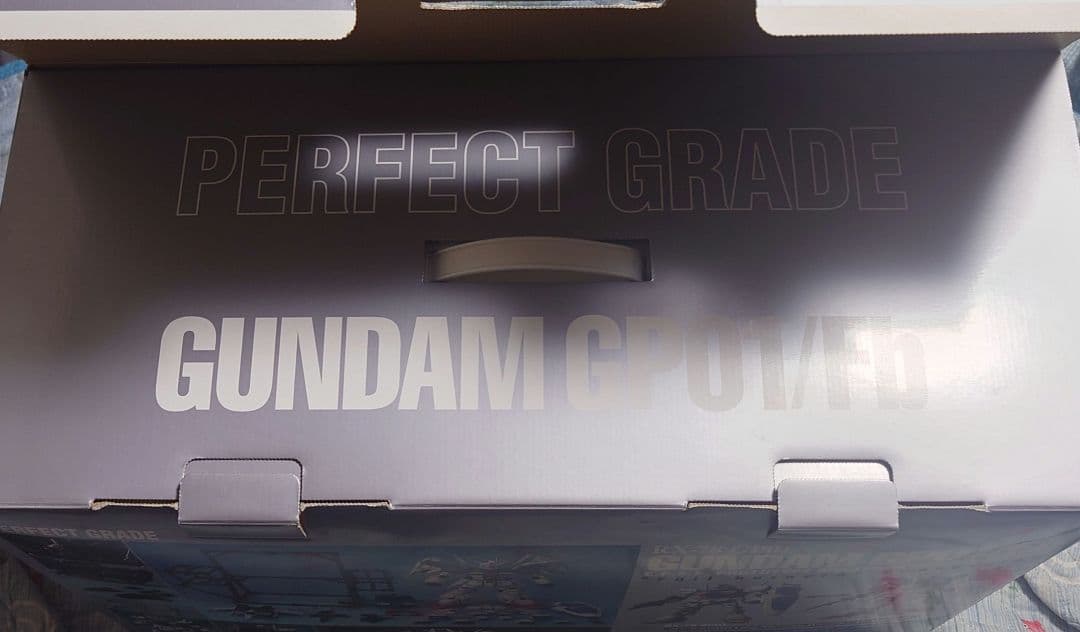 【未組立】PG RX-78ガンダムGP01/FB